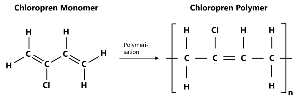 Chemischer Aufbau von Chloropren. Herstellung eines Chloropren Polymers durch Polymerisation eines Chloropren Monomers.