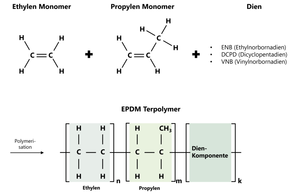 Chemischer Aufbau von EPDM, bestehend aus einem Ethylen Monomer (links oben), einem Propylen Monomer (mittig oben) und einem Dien (rechts oben). Durch Polymerisation entsteht das EPDM Terpolymer (mittig unten).